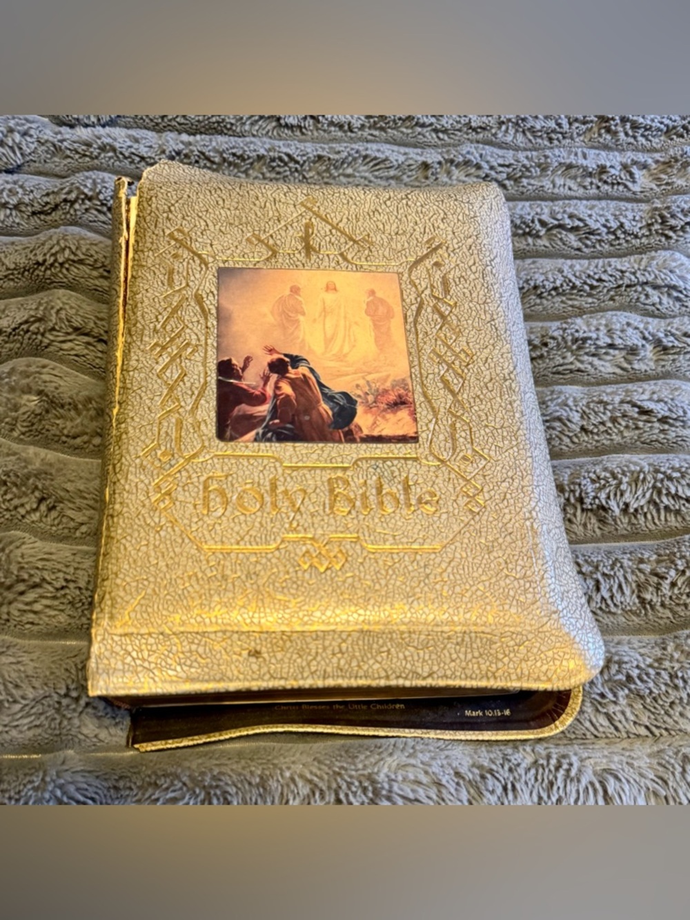 Antique Leather Bound 1958 Holy Bible Catholic Press Illustrated